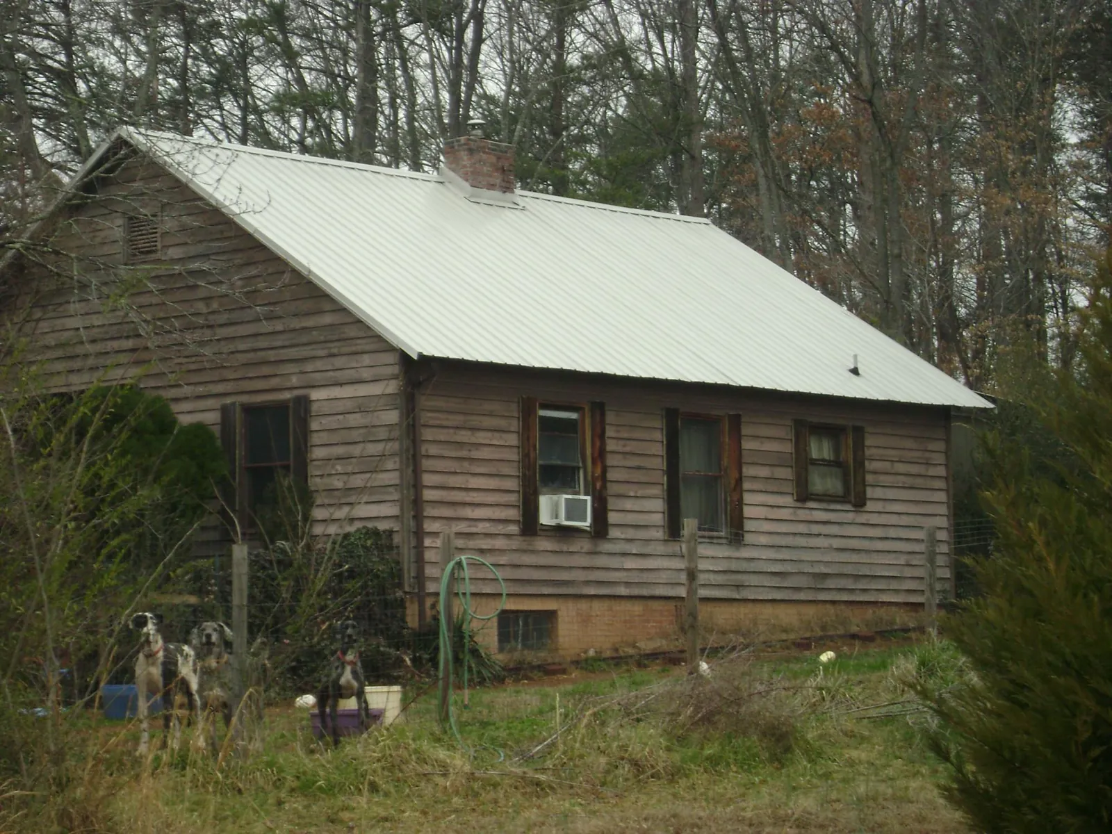 White metal roof on an old wood sided farmhouse, from a Metal Roof Installation job in Cope